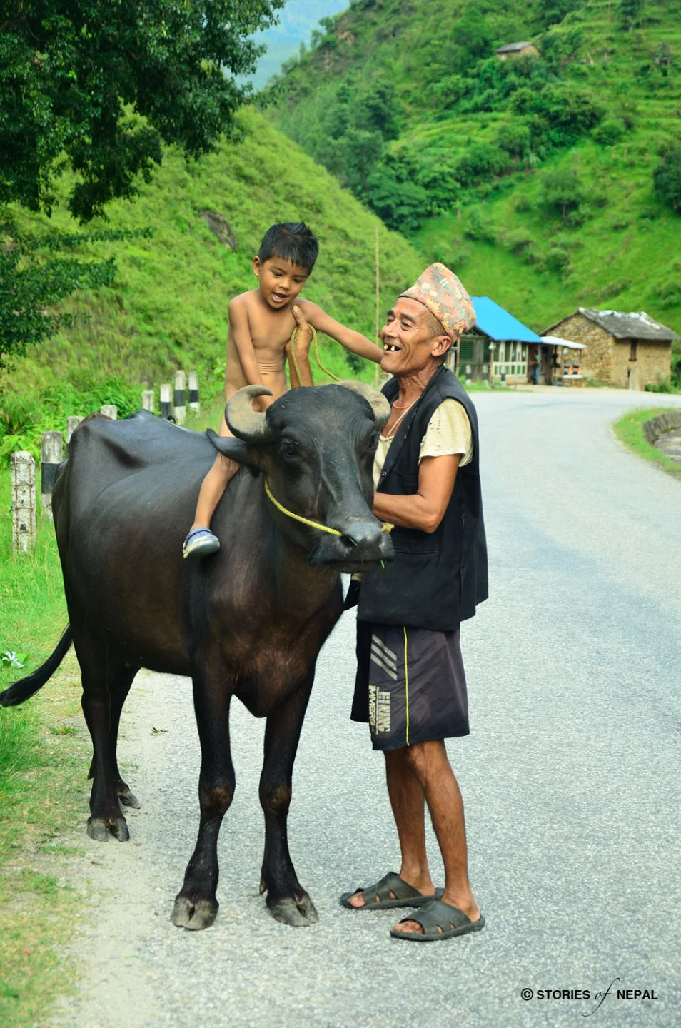 Bath with Buffalo