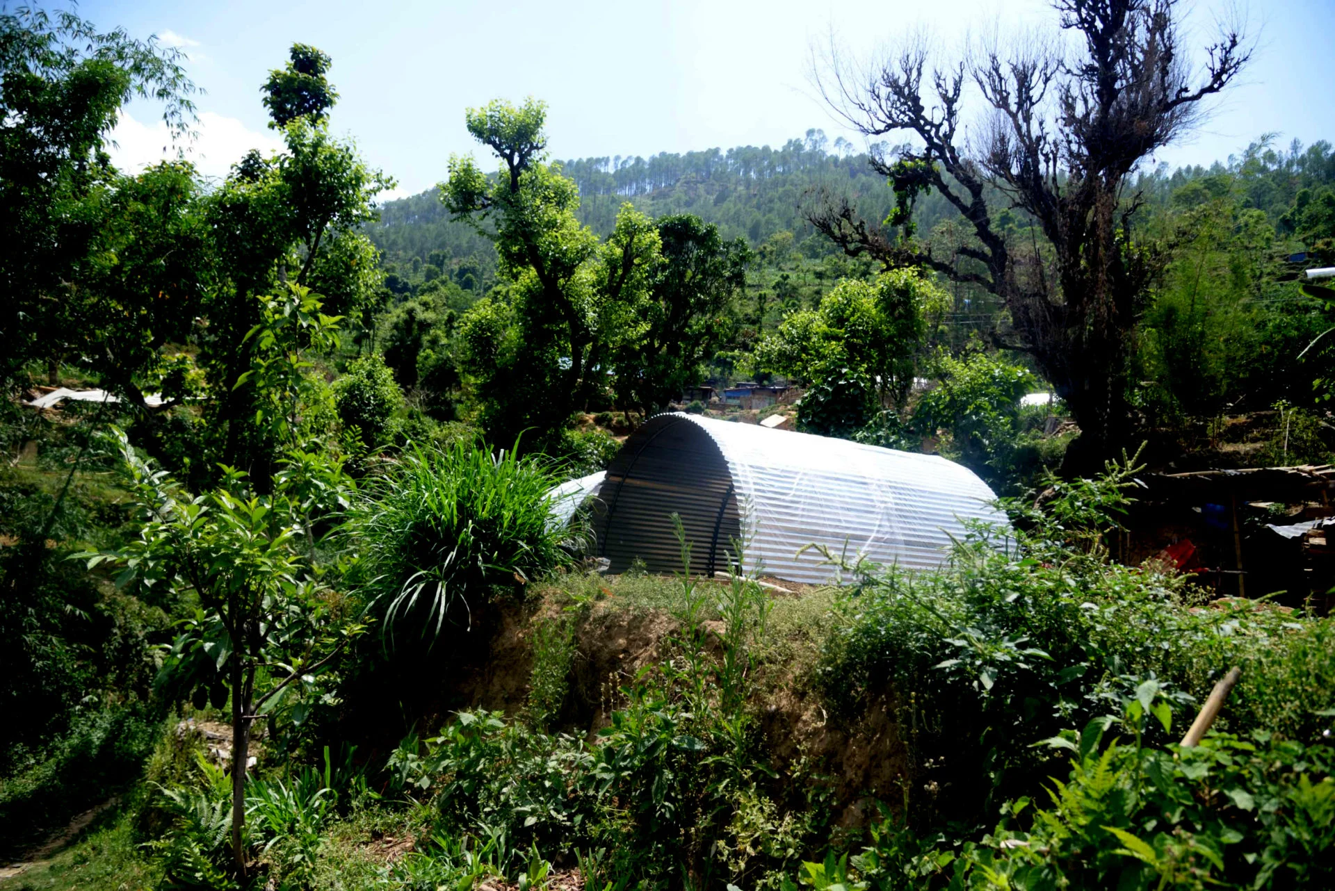 Update - Stories of Nepal Earthquake Relief Fund