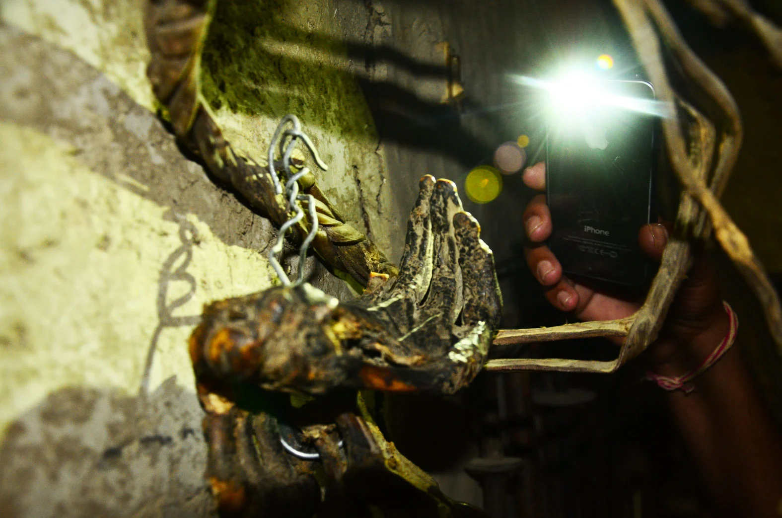 The Decapitated Hand